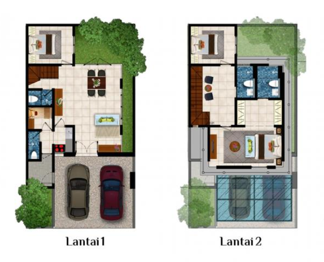 Layout Maleo